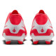 Nike Legend 10 Club FG/MG